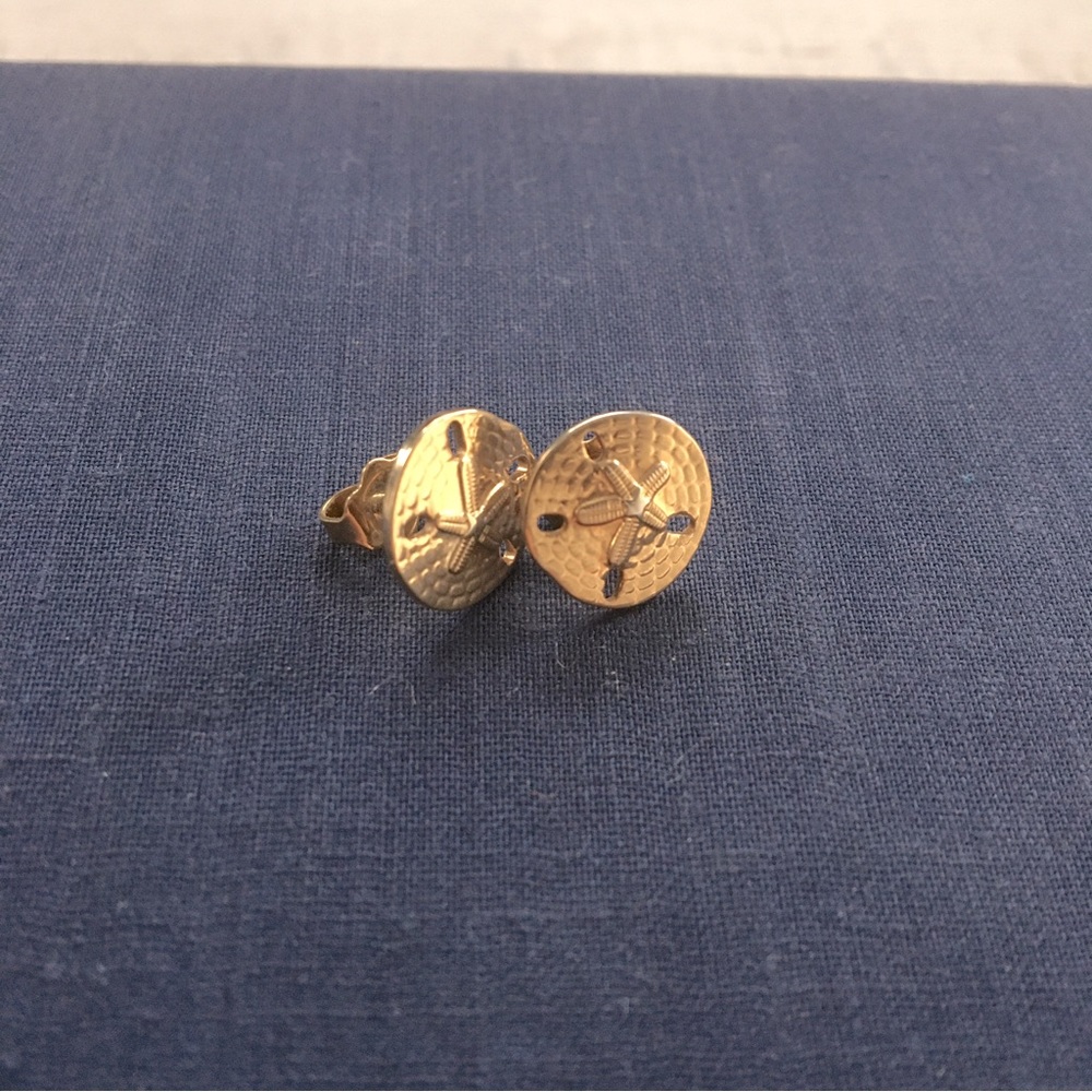 Sea Dollar Earrings and Pendant